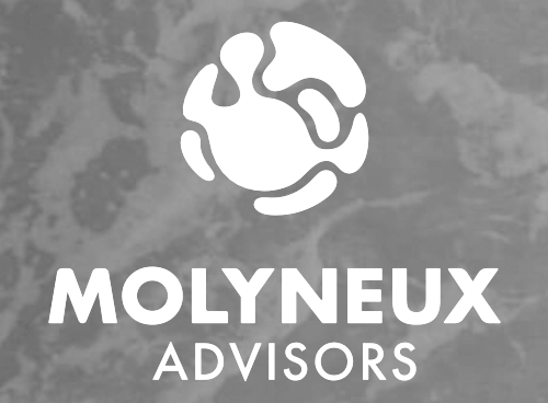 MOLYNEUX ADVISORS