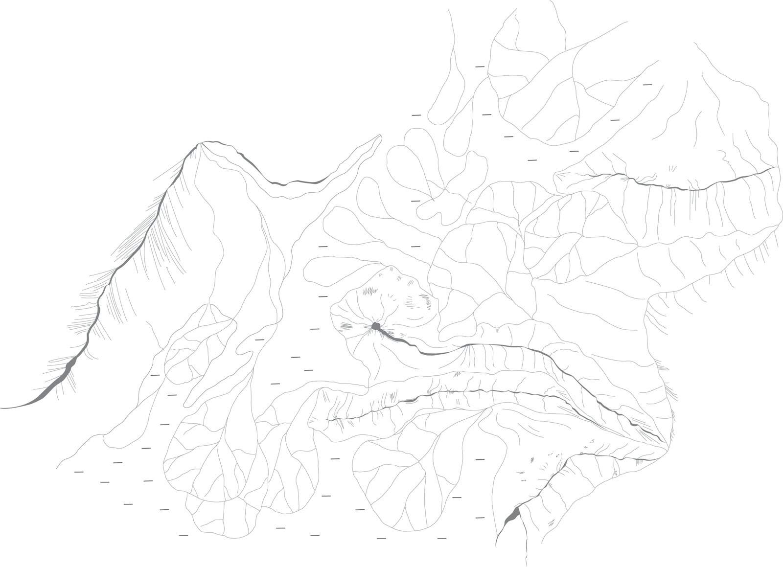 Stage 7: final professionally digitised vector map