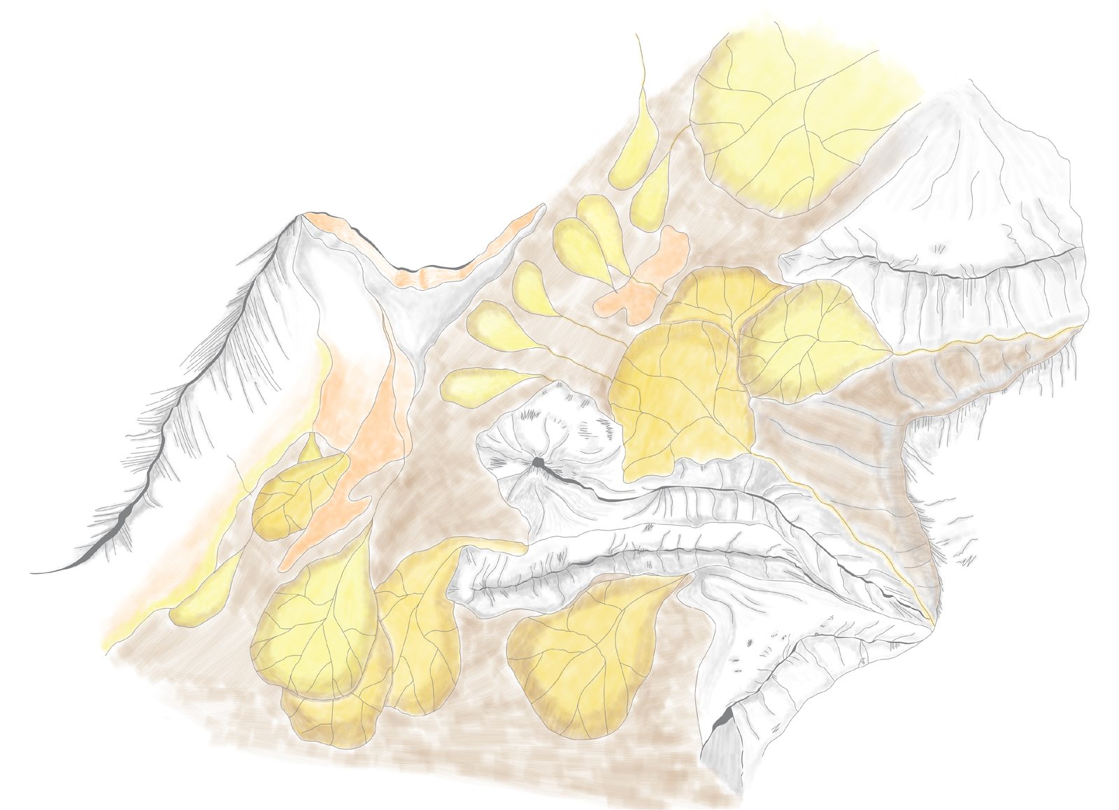 Stage 6: geological colour coding and shading